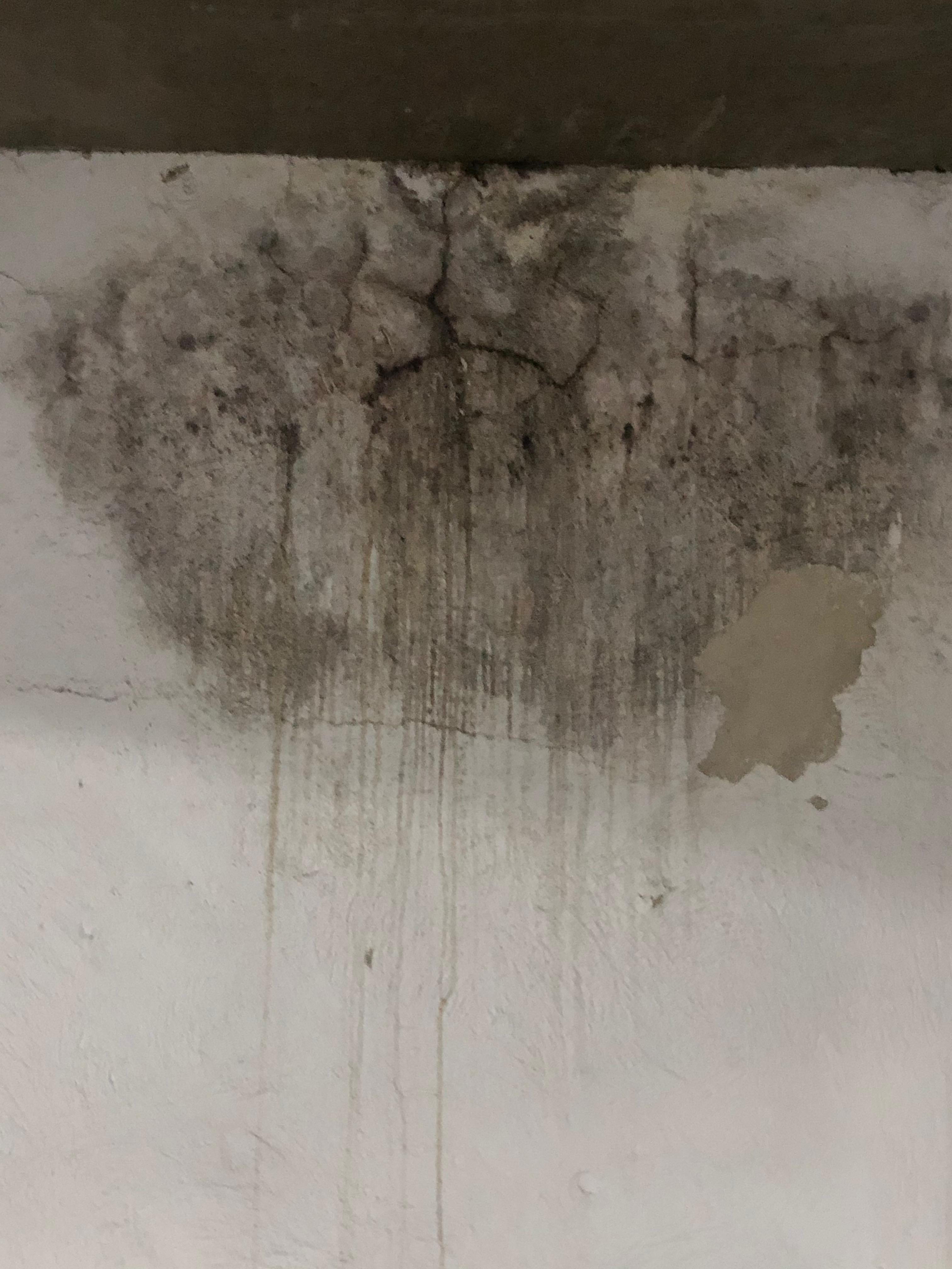 Reforma de Fachada — Buritis